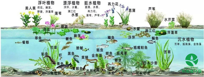 �±�GG��������ҵƽ̨