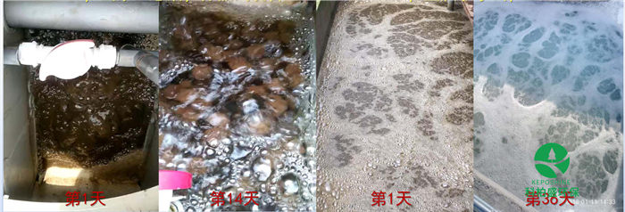 �±�GG��������ҵƽ̨