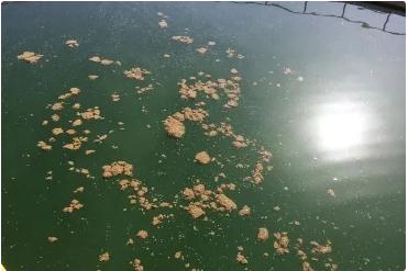 �±�GG��������ҵƽ̨