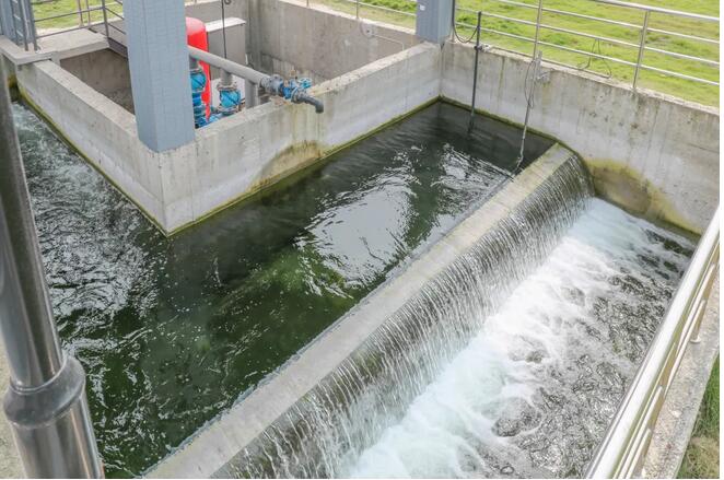 �±�GG��������ҵƽ̨