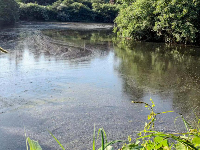 �±�GG��������ҵƽ̨